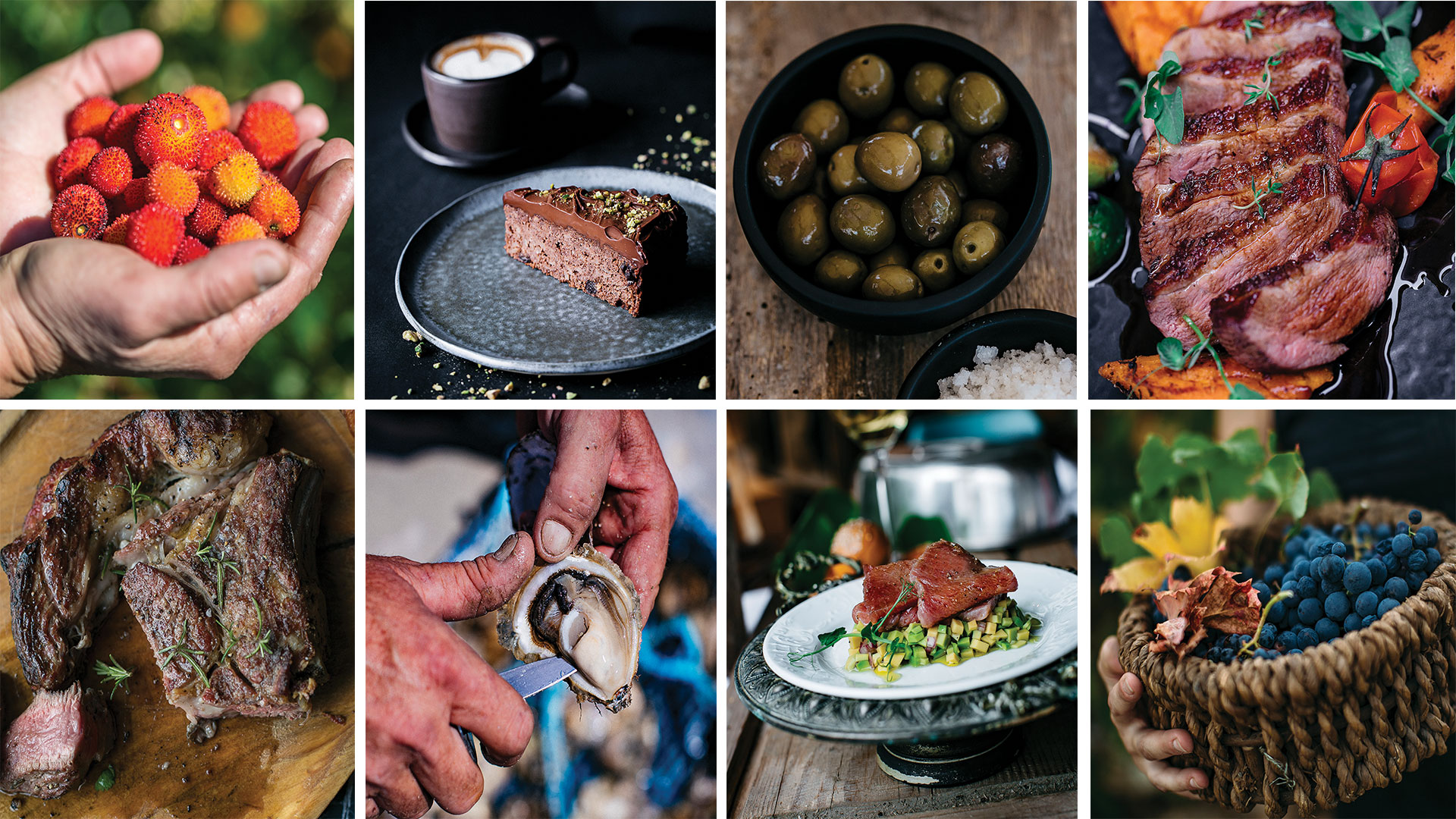 HUMANITARNA DOGAĐANJA PETOG GOOD FOOD FESTIVALA