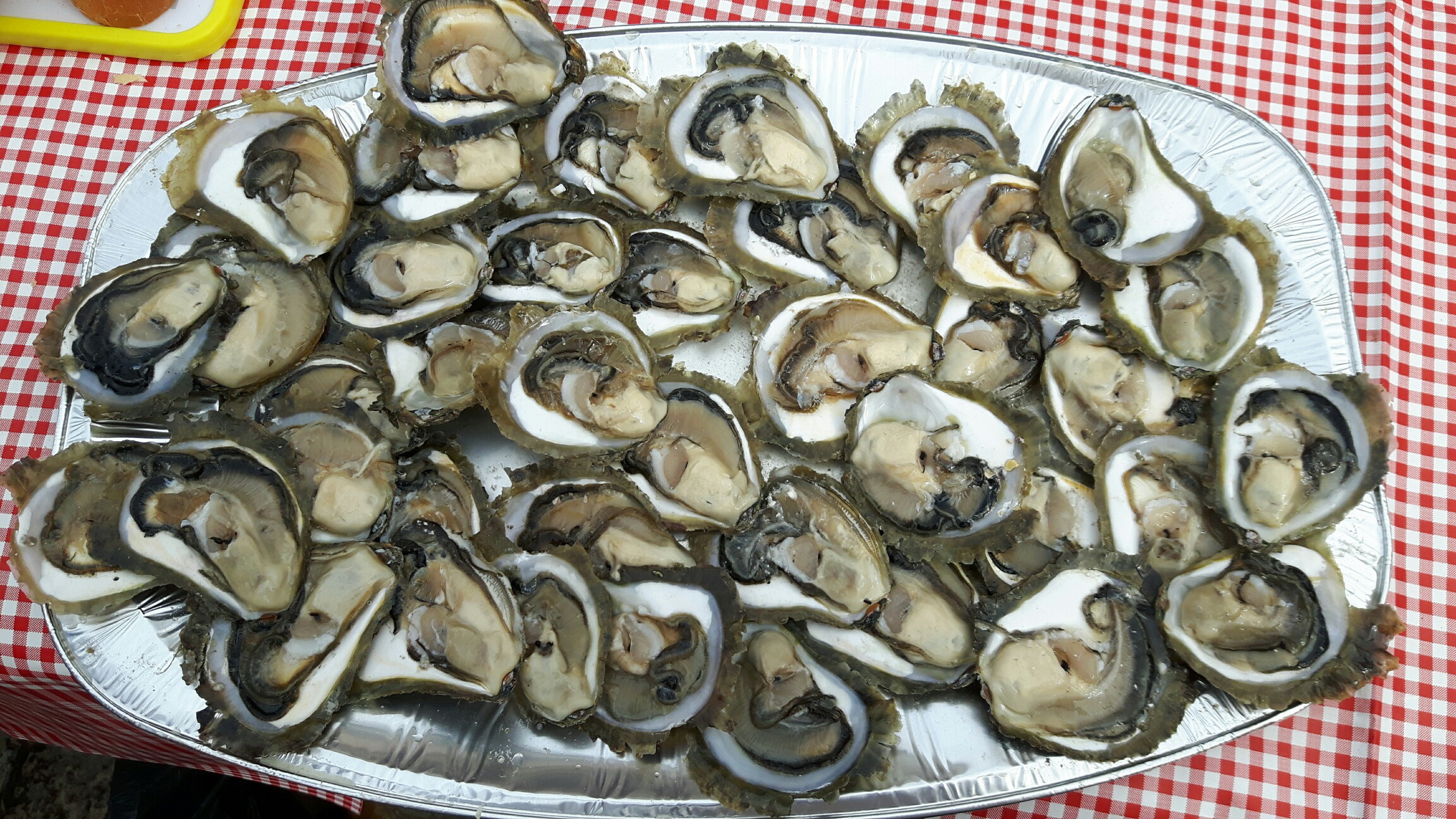 Održana Festa od kamenica