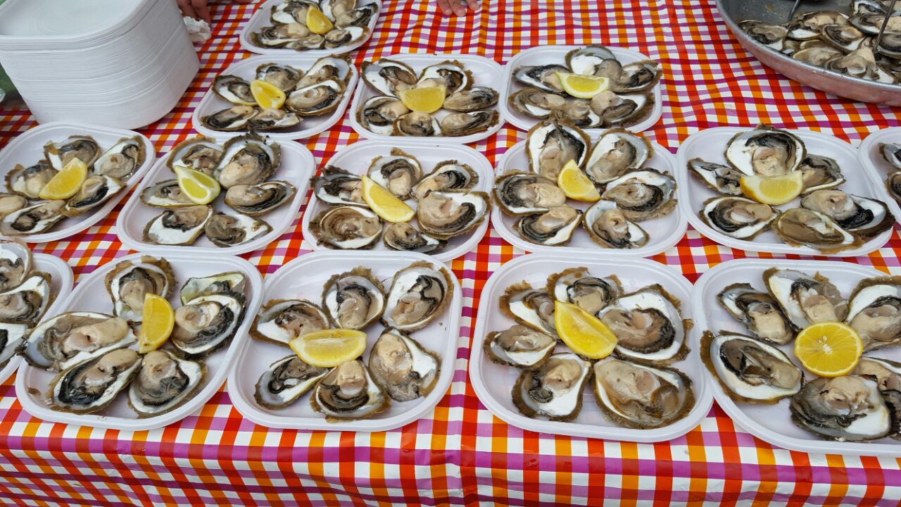 Održana Festa od kamenica