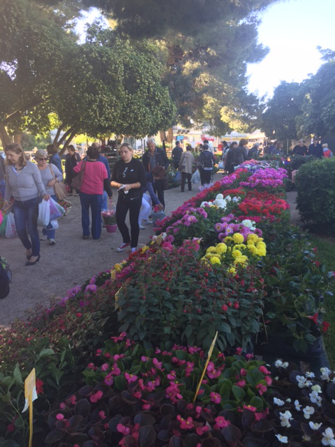 DUBROVNIK TOURIST BOARD ORGANIZED THIRD SUCCESFUL SALE OF FLOWERS