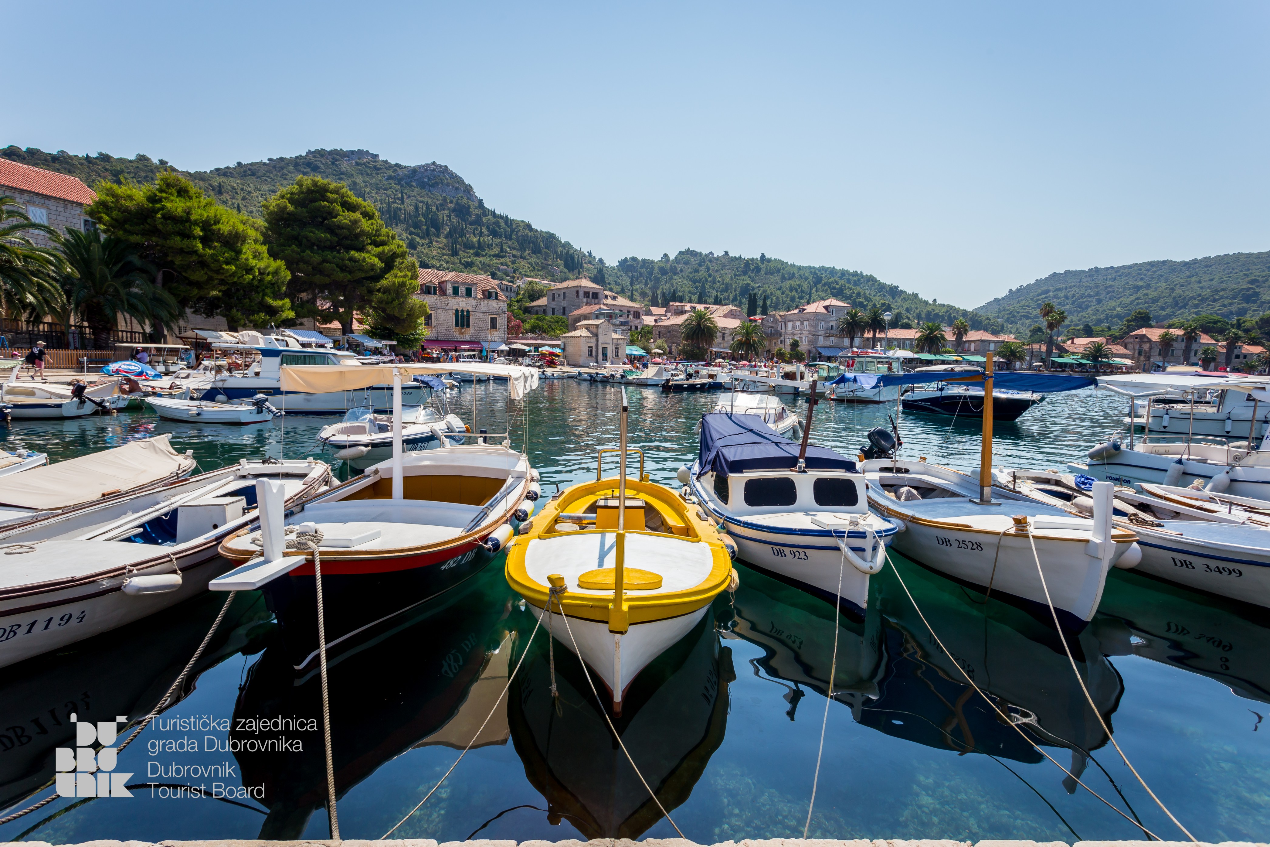Take the plunge with a sea incentive and explore the enchanting Elaphite Islands