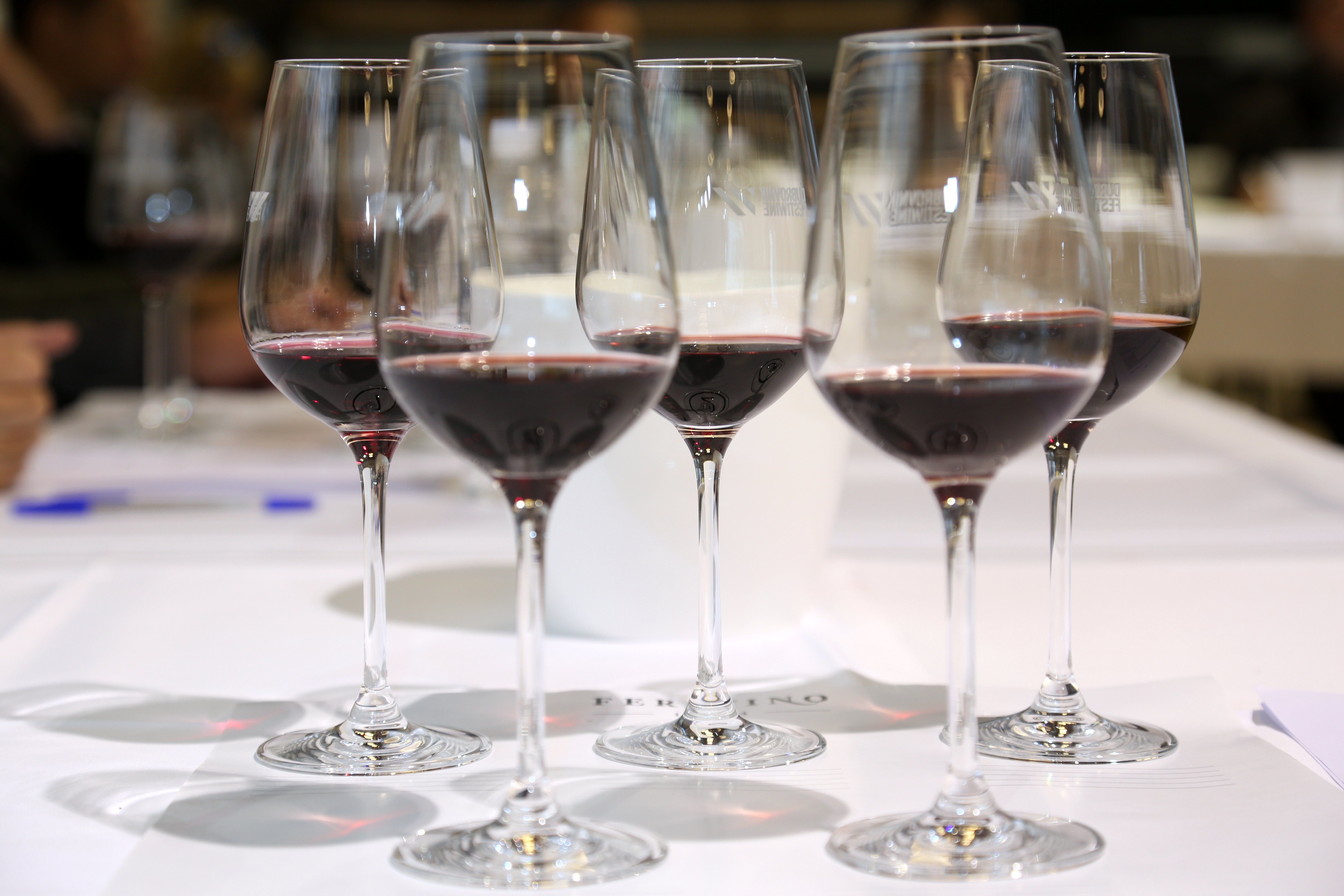 Embark on a Wine Journey in the Scenic Hills of Magnificent Pelješac