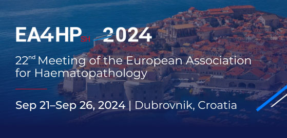 Dubrovnik to host the 22nd Meeting of the EA4HP and SH
