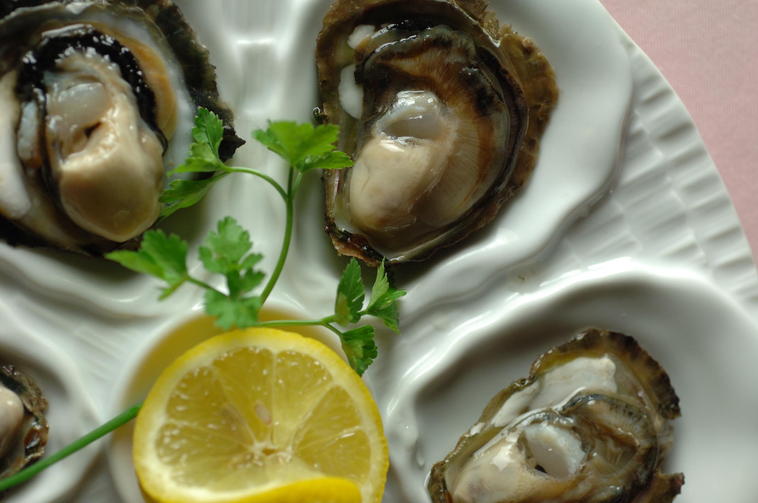 The Story of Oysters