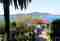trsteno-arboretum-full-1_zoran-marinovic-large
